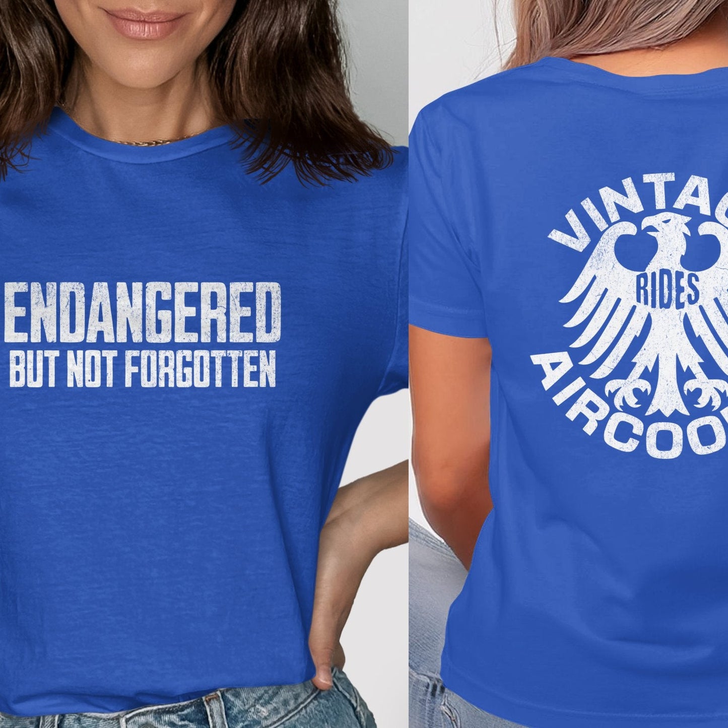 Endangered Not Forgotten Vintage Rides Aircooled product type