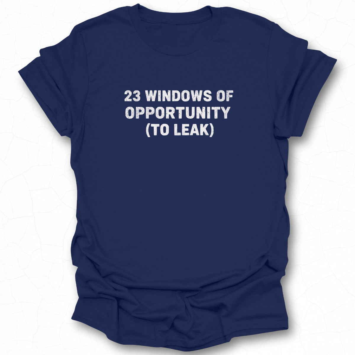 23 Windows of Opportunity Humor T-Shirt